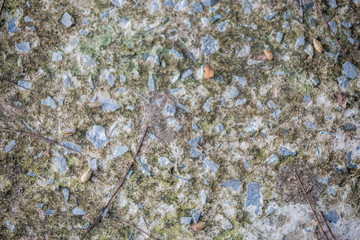 cement floor texture