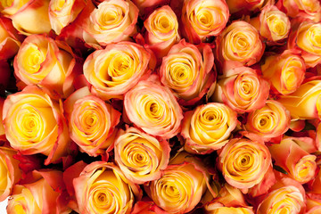 roses top view bouquet background closeup