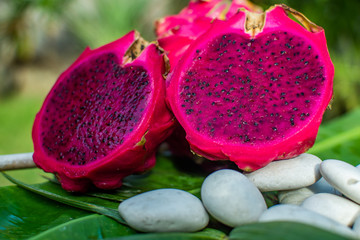 beautiful fresh red dragon fruit pitaya on green leaf with stones