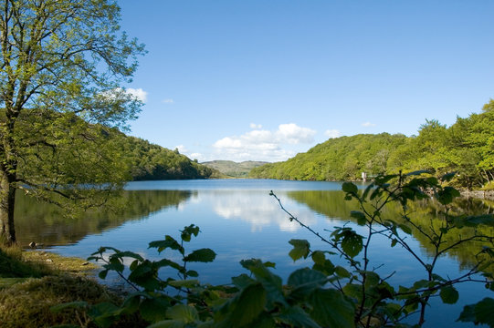 Llyn Cynwch 49