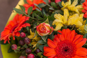 Bouquet of different color tulips