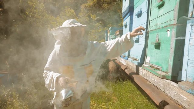 the beekeeper working in the apiary bees fly swarm multi colored beehive slow motion video. bee-maker beekeeper man working of lifestyle a smoke pipe beeper wooden hives smoker device for repelling