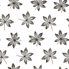 Fototapeta na wymiar Tropic plants floral seamless jungle aralia pattern. Print vector background of fashion summer wallpaper palm leaves in black and white gray style