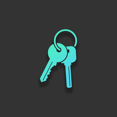 keys on the ring icon. Colorful logo concept with soft shadow on