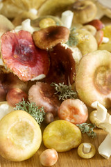 Mushrooms of various types, shapes and colors on a wooden surface.