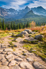 Strony path in the Tatra mountains in autumn, Poland