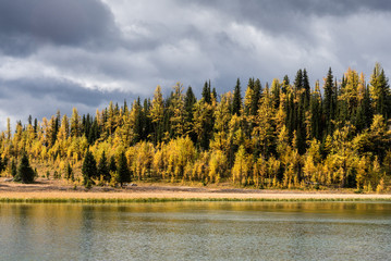 Sunshine Meadows in Canada's Banff National Park