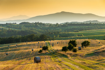 Fresh bales of hay in an Umbrian field at sunset.