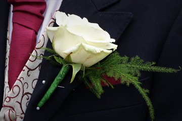 Mans rose buttonhole 