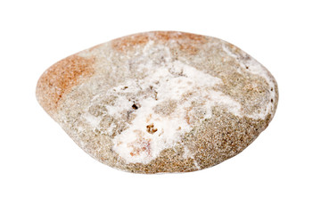 Sea stone isolated on white background