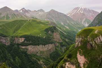 green georgian mountains near jvari paass