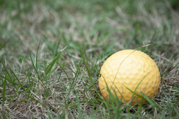 Golf ball orange color on green grass field.