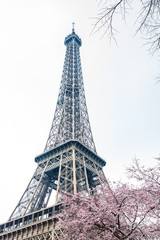 Carrousel and the Tour Eiffel at the end of winter