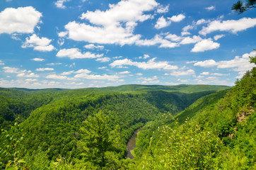 Fototapeta premium Pine Creek Gorge, also called the Grand Canyon of Pennsylvania. A 47 mile long, 1000 foot deep gorge that winds through north-central Pennsylvania.