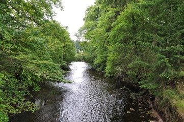 Fototapeta na wymiar parc de la ville inverness ecosse