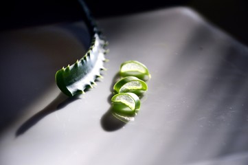 Aloe Vera