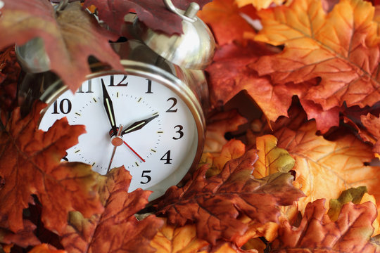 Vintage alarm clock buried underneath colorful fallen autumn leaves with shallow depth of field. Daylight savings time concept with clock hands at almost 2 am.