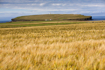 The Brough of Birsay is an uninhabited tidal island off the north-west coast of The Mainland of Orkney, Scotland,Great Britain.Located around 13 miles north of Stromness