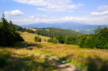 Fototapeta premium Wielka Rycerzowa, Beskid mountains, Poland, Europe - beautiful landscape and countryside. Hills and meadows in the summer evening.