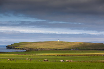 Fototapeta premium The Brough of Birsay is an uninhabited tidal island off the north-west coast of The Mainland of Orkney, Scotland,Great Britain.Located around 13 miles north of Stromness
