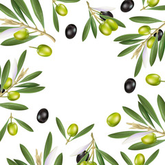 Olive frame of advertising posters, postcards, labels for products from olives. Olive oil lettering by brushpen.