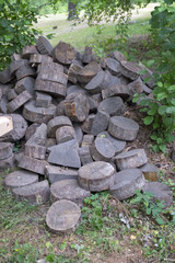 round necked sections