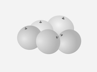A group of black and white color oranges on white page vector illustration