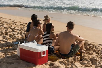 Group of friends interacting with each other in the beach