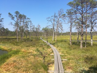 Obraz premium lahemaa national park
