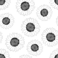 Sunflower Outline Seamless on White Background.