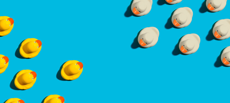 White and yellow rubber ducks opposing each other