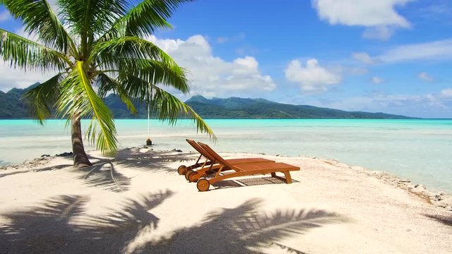 travel, seascape and nature concept - tropical beach with palm tree and sunbeds in french polynesia