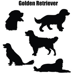 Golden Retriever purebred dog standing, sitting, lying in side view - vector silhouette isolated - obrazy, fototapety, plakaty