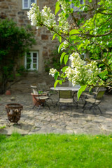 Fototapeta na wymiar beautiful garden with table and chairs