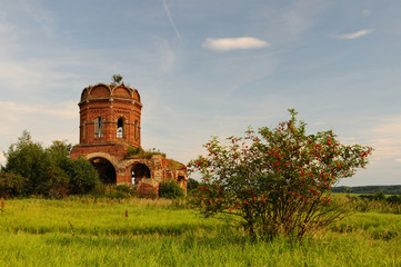 Fototapeta premium Old church and a bush / Ruins of the church of 19th century with a red elder bush in the foreground, Tula region, Russia