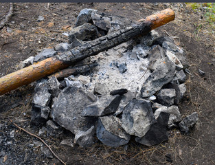 Campfire in the woods. Kebabs on the nature. Cooking in the campaign. The wood for the fire.