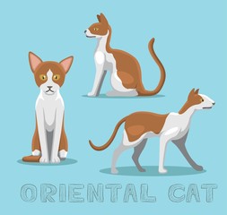 Cat Oriental Cat Cartoon Vector Illustration