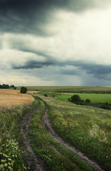 Fototapety na wymiar - Fototapeta24.pl