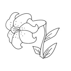 Cartoon flower isolated on the white background for children without color
