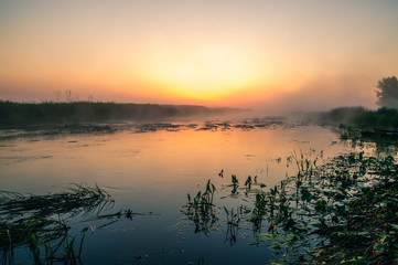 Fototapeta na wymiar Biebrza Natural Park - foggy sunrise over Biebrza river. 