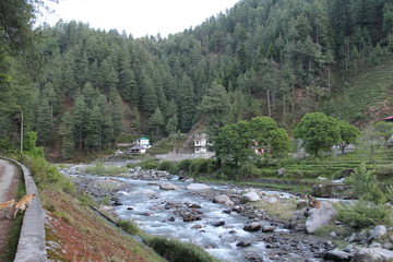 Fototapeta na wymiar 4 Barot Valley in Himachal Pradesh India