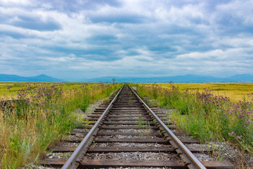 Railway to horizon. Vintage railroad tracks in field
