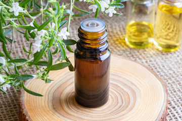 A bottle of mountain savory essential oil with fresh Satureja montana