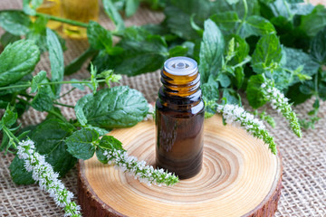 A bottle of peppermint essential oil with fresh blooming peppermint