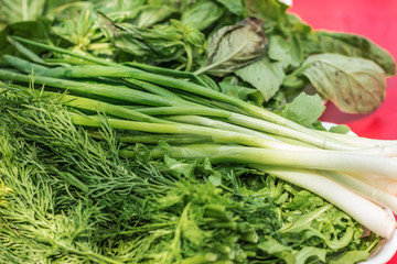Plate with fresh herbs. Close up