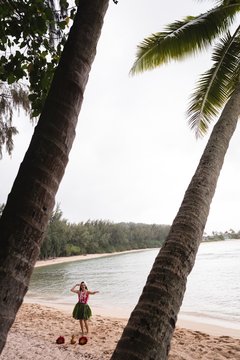 Hawaii hula dancer in costume dancing