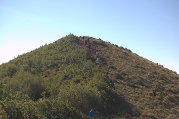 ACEllis & Company - Digital Art