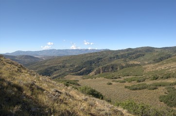 Fototapeta premium ACEllis & Company - Digital Art