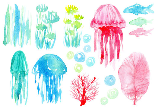 Illustration set with watercolor marine life, colorful seaweed, fish, jellyfish, bubbles