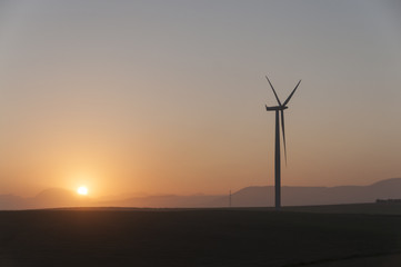 Obraz premium wind turbina , field and sky